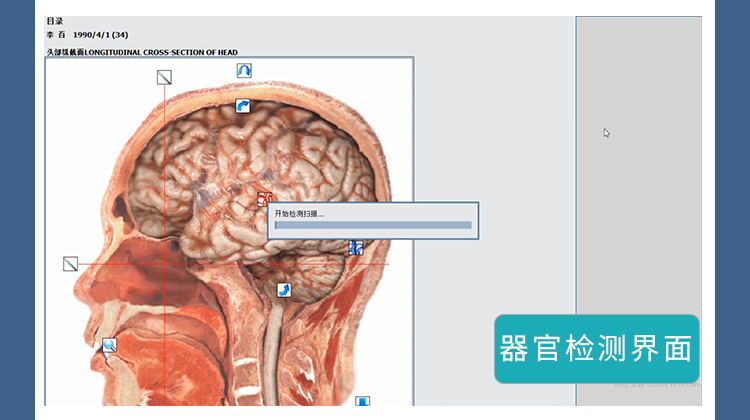 图片[11]-【单次服务】21D-NLS身心能量状态分析系统 健康状态评估(非医疗)-洛芃泽