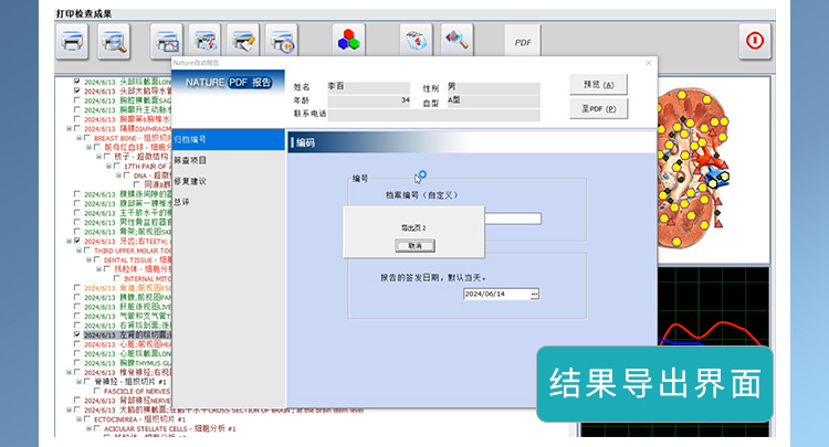 图片[14]-【单次服务】21D-NLS身心能量状态分析系统 健康状态评估(非医疗)-洛芃泽