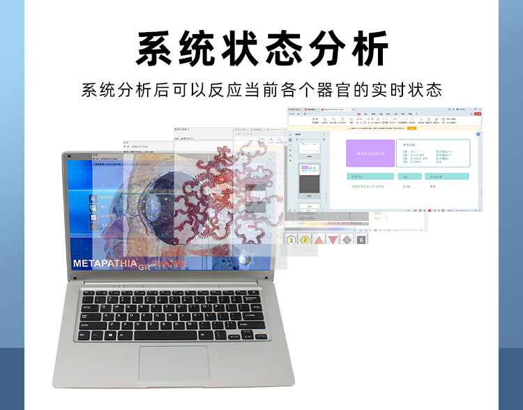 图片[6]-【单次服务】21D-NLS身心能量状态分析系统 健康状态评估(非医疗)-洛芃泽