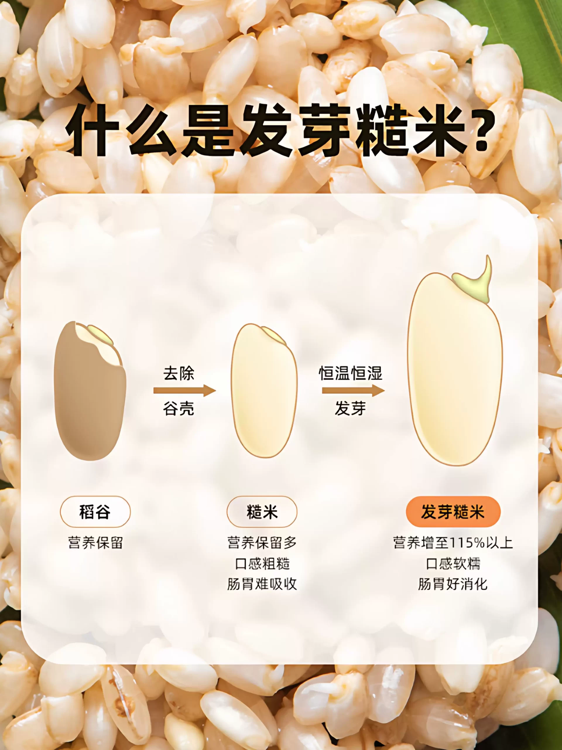 洛芃泽|养生调理 · 副业变现 · 一人公司|凡人修行栖息地