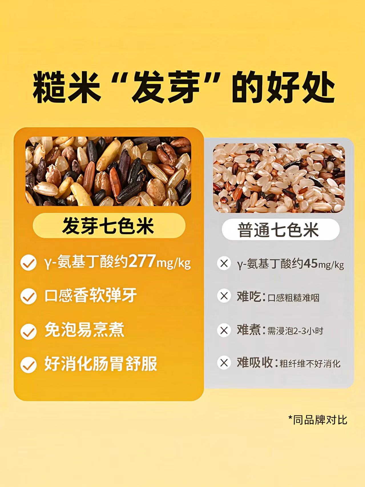 洛芃泽|养生调理 · 副业变现 · 一人公司|凡人修行栖息地