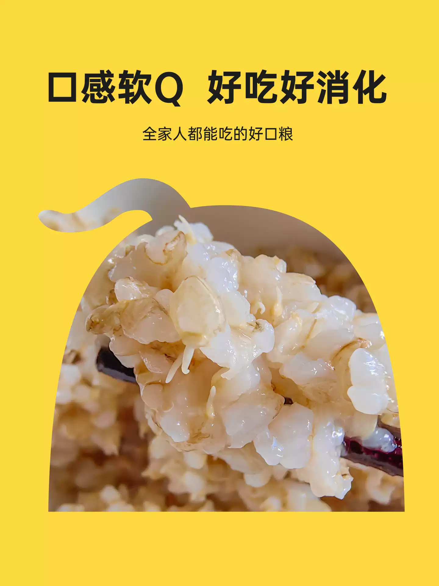 洛芃泽|养生调理 · 副业变现 · 一人公司|凡人修行栖息地