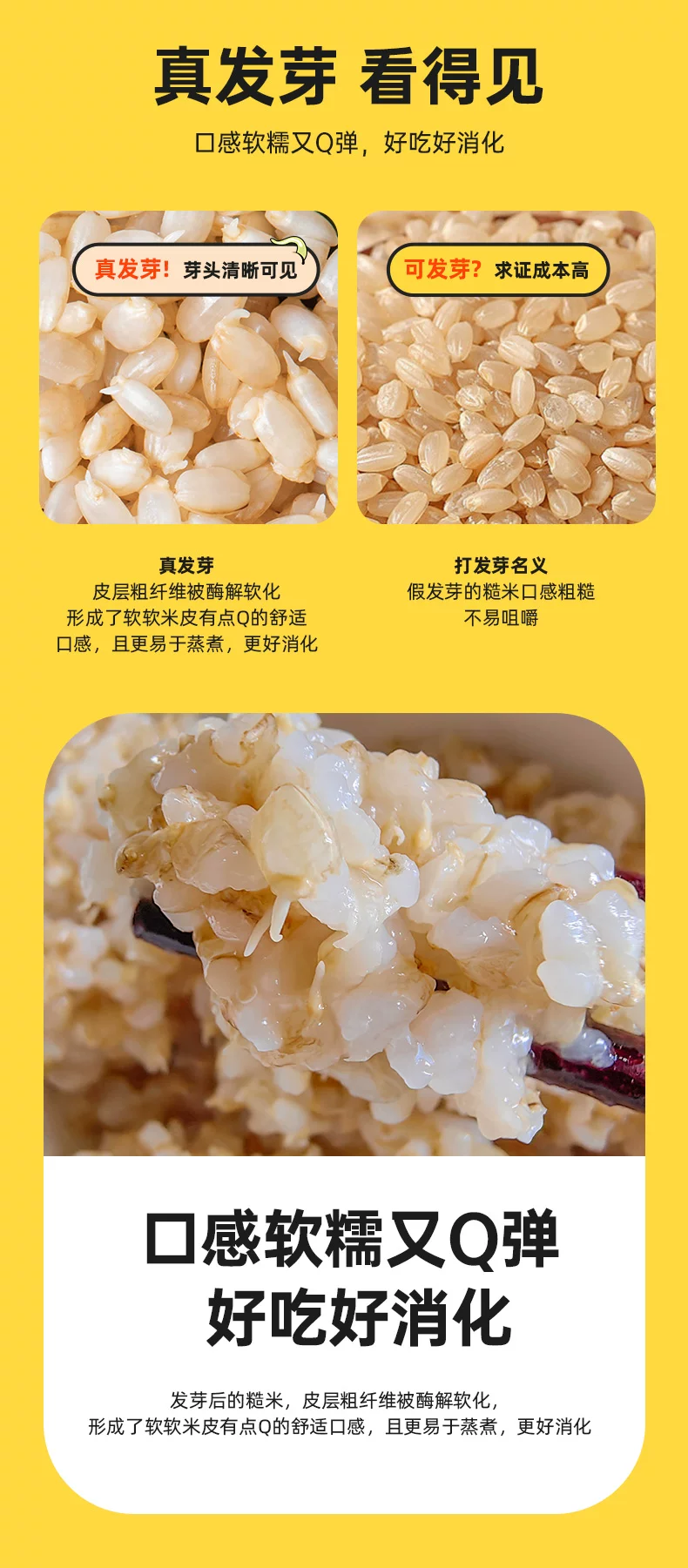 图片[6]-发芽七色糙米2.5kg礼盒装｜东北七谷胚芽杂粮米｜洛芃泽