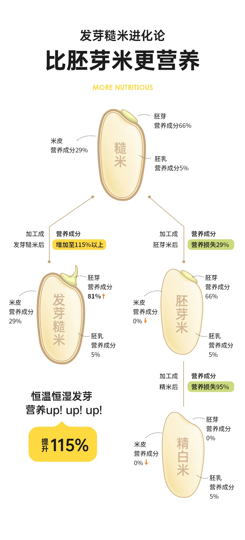 图片[8]-发芽七色糙米2.5kg礼盒装｜东北七谷胚芽杂粮米｜洛芃泽